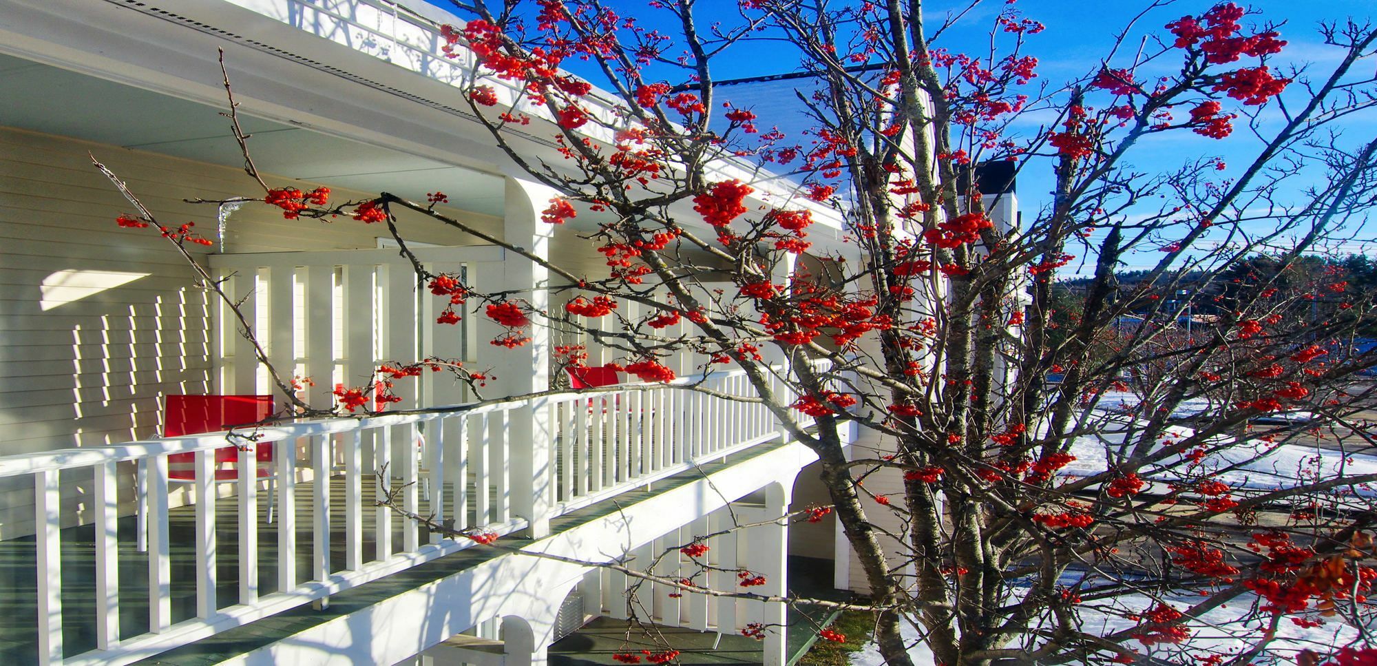 Green Granite Inn, Ascend Hotel Collection North Conway Esterno foto
